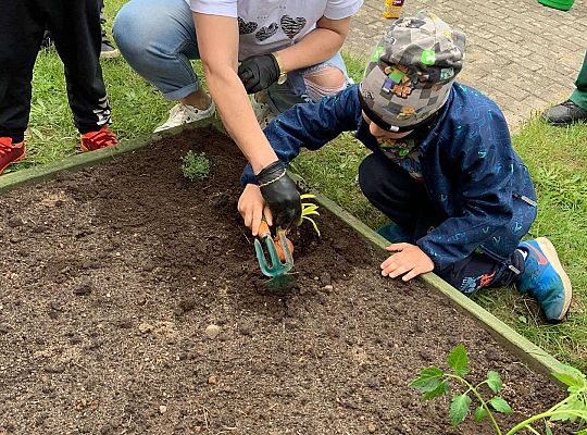 GR III Zakładamy ogródek warzywny