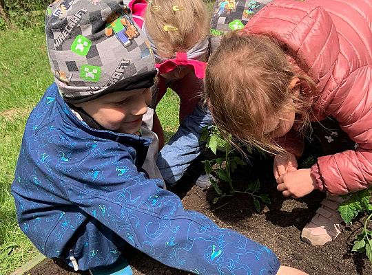 GR III Zakładamy ogródek warzywny