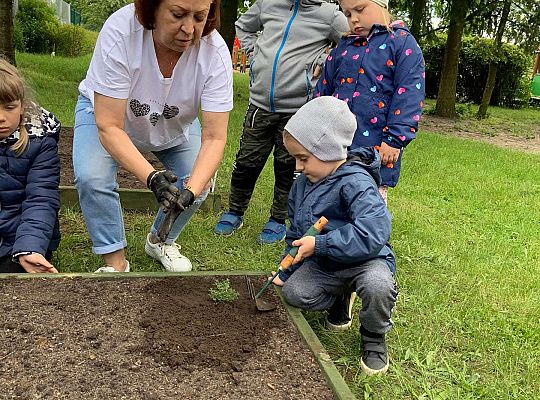 GR III Zakładamy ogródek warzywny