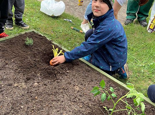 GR III Zakładamy ogródek warzywny