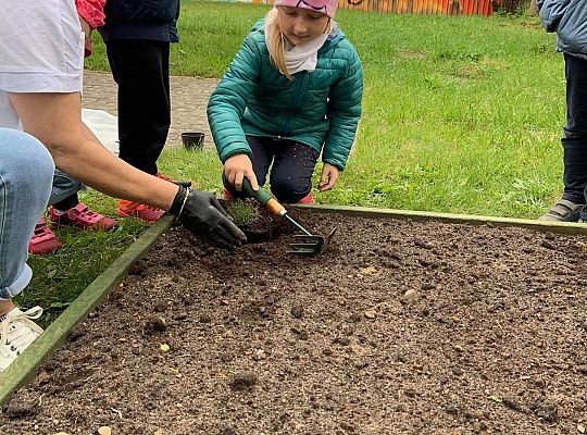 GR III Zakładamy ogródek warzywny