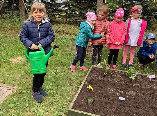 GR III Zakładamy ogródek warzywny