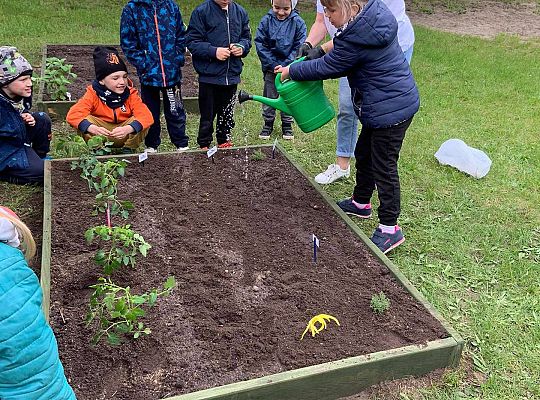 GR III Zakładamy ogródek warzywny