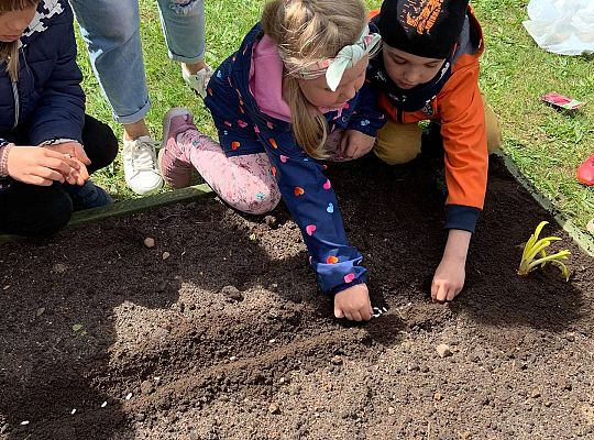 GR III Zakładamy ogródek warzywny