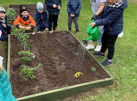 GR III Zakładamy ogródek warzywny