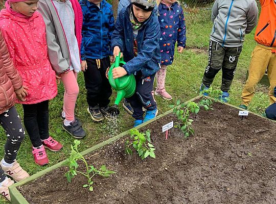 GR III Zakładamy ogródek warzywny