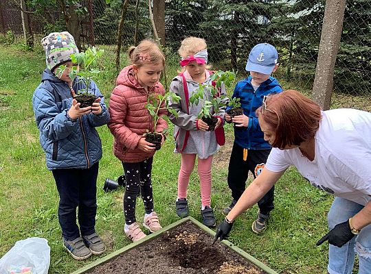 GR III Zakładamy ogródek warzywny