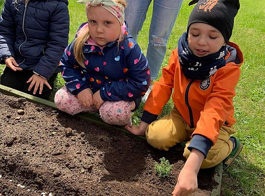 GR III Zakładamy ogródek warzywny