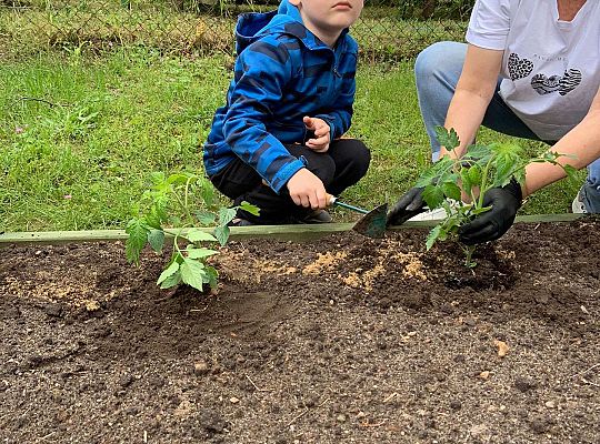 GR III Zakładamy ogródek warzywny