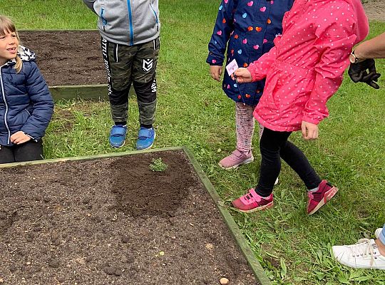 GR III Zakładamy ogródek warzywny