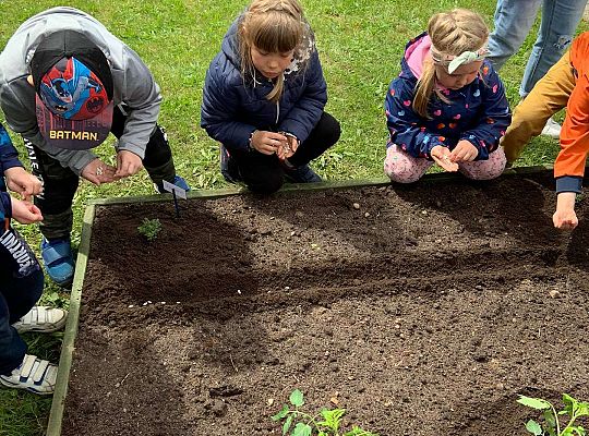 GR III Zakładamy ogródek warzywny