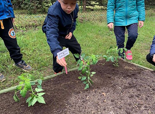 GR III Zakładamy ogródek warzywny