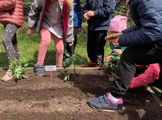 GR III Zakładamy ogródek warzywny