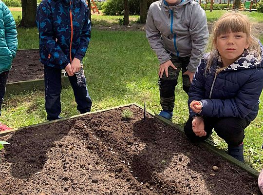 GR III Zakładamy ogródek warzywny
