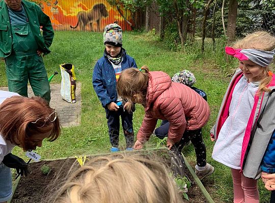 GR III Zakładamy ogródek warzywny