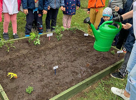 GR III Zakładamy ogródek warzywny