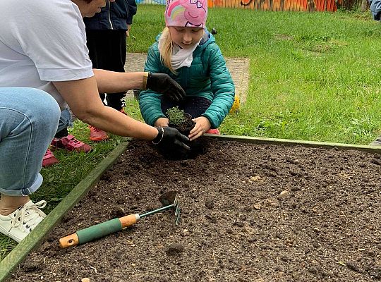 GR III Zakładamy ogródek warzywny