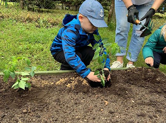 GR III Zakładamy ogródek warzywny