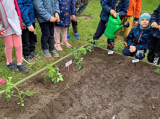 GR III Zakładamy ogródek warzywny