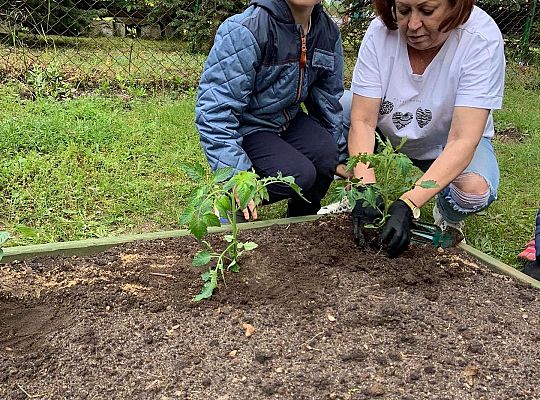 GR III Zakładamy ogródek warzywny
