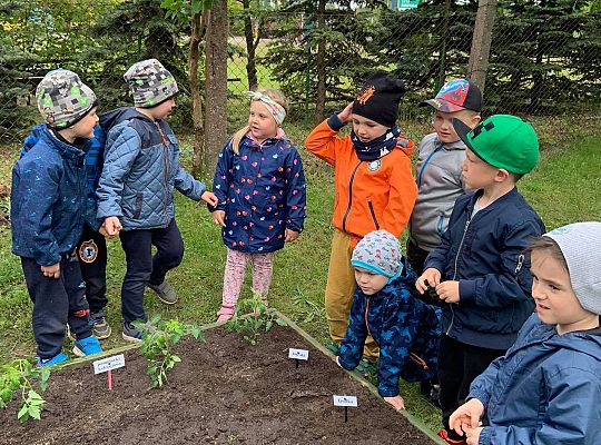 GR III Zakładamy ogródek warzywny