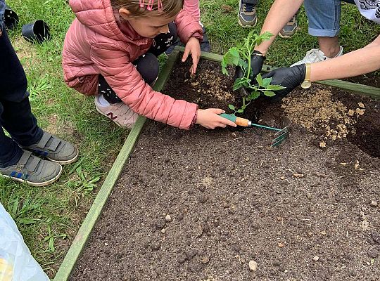 GR III Zakładamy ogródek warzywny