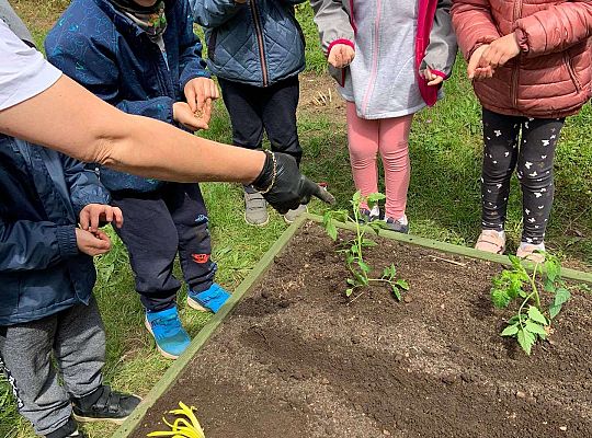 GR III Zakładamy ogródek warzywny