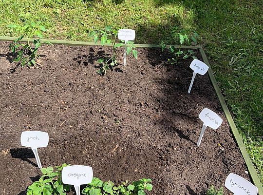 GR III Zakładamy ogródek warzywny