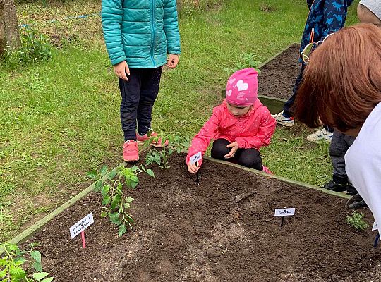 GR III Zakładamy ogródek warzywny