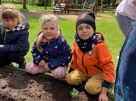 GR III Zakładamy ogródek warzywny