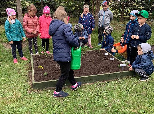 GR III Zakładamy ogródek warzywny