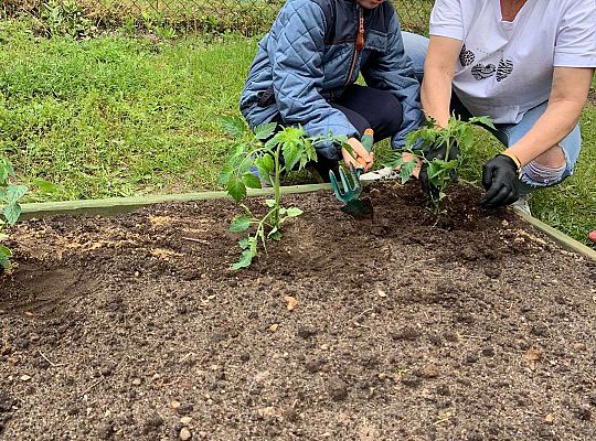 GR III Zakładamy ogródek warzywny