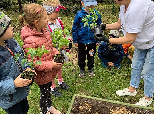 GR III Zakładamy ogródek warzywny