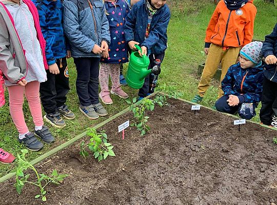GR III Zakładamy ogródek warzywny