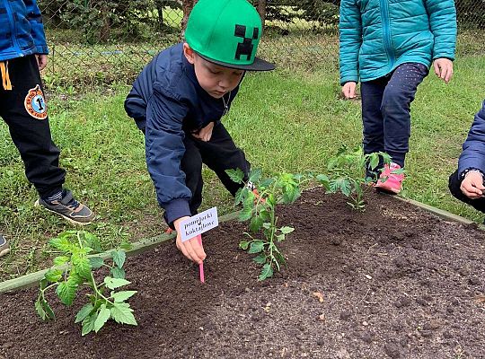 GR III Zakładamy ogródek warzywny