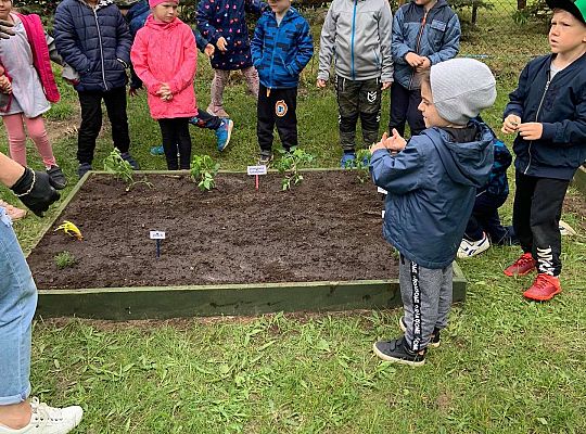 GR III Zakładamy ogródek warzywny