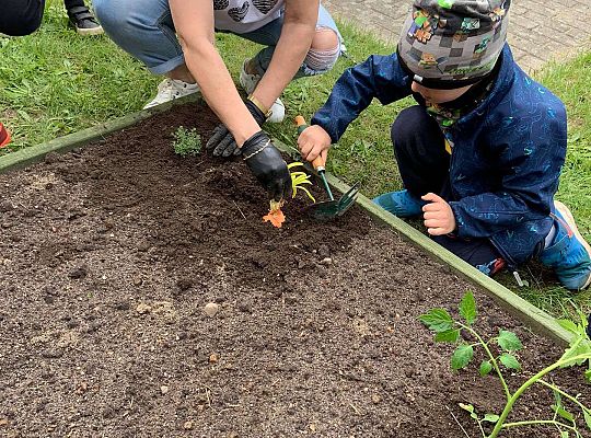 GR III Zakładamy ogródek warzywny