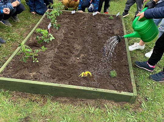 GR III Zakładamy ogródek warzywny