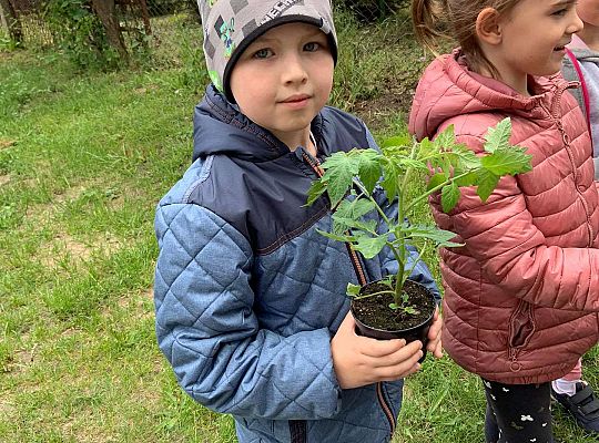 GR III Zakładamy ogródek warzywny