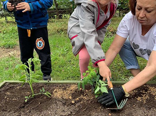 GR III Zakładamy ogródek warzywny