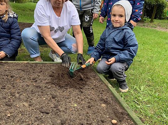 GR III Zakładamy ogródek warzywny