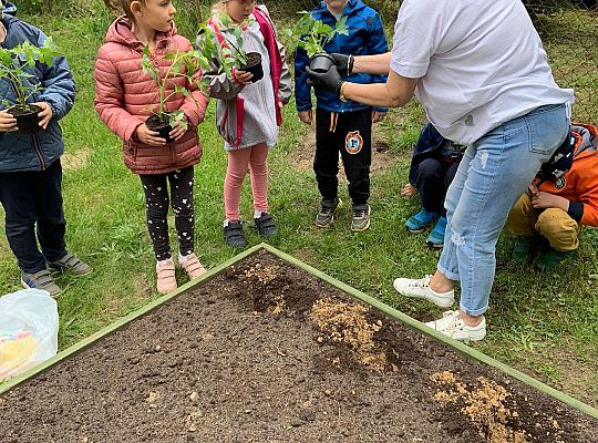 GR III Zakładamy ogródek warzywny