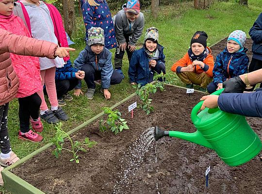 GR III Zakładamy ogródek warzywny