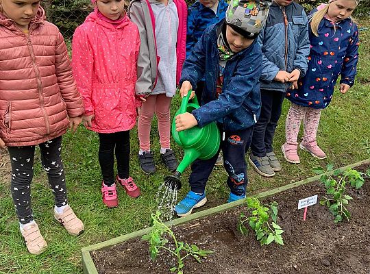 GR III Zakładamy ogródek warzywny