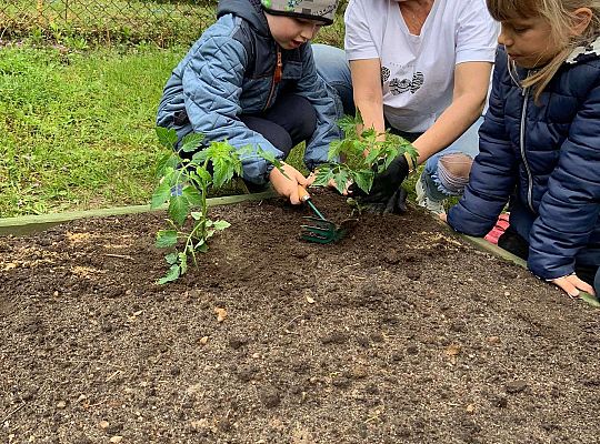 GR III Zakładamy ogródek warzywny