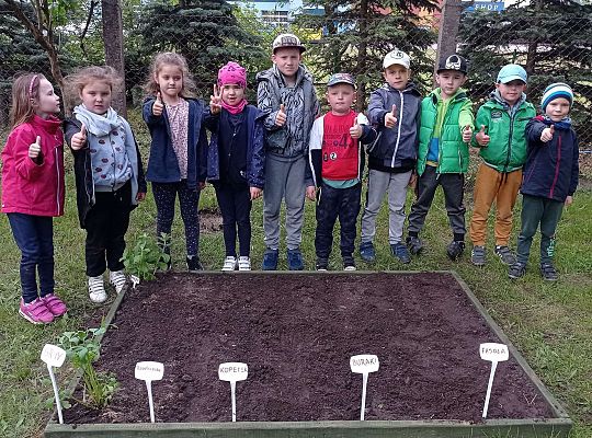 GR IV Zakładamy ogródek warzywny