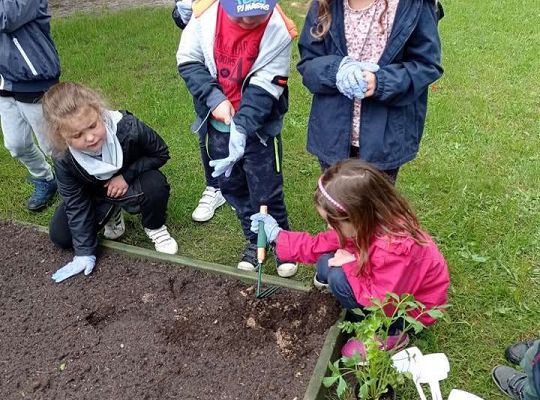 GR IV Zakładamy ogródek warzywny