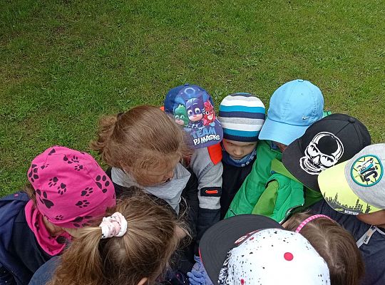 GR IV Zakładamy ogródek warzywny