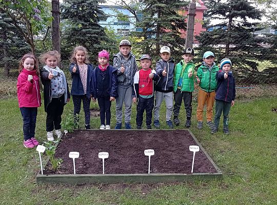 GR IV Zakładamy ogródek warzywny