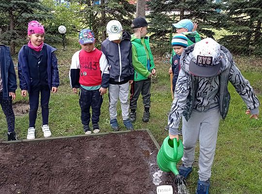 GR IV Zakładamy ogródek warzywny